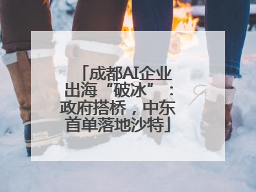 成都AI企业出海“破冰”：政府搭桥，中东首单落地沙特