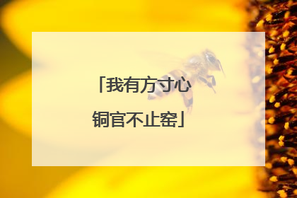 我有方寸心 铜官不止窑