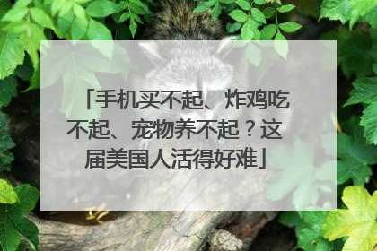 手机买不起、炸鸡吃不起、宠物养不起？这届美国人活得好难