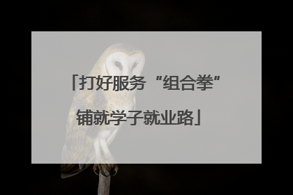 打好服务“组合拳” 铺就学子就业路