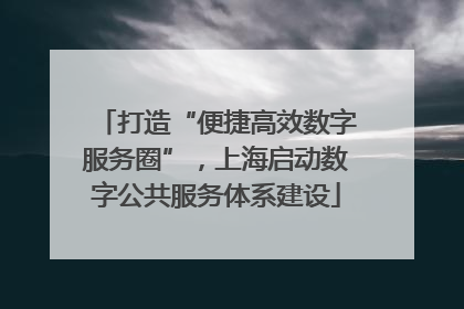 打造“便捷高效数字服务圈”，上海启动数字公共服务体系建设