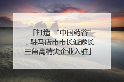 打造 “中国药谷”，驻马店市市长诚邀长三角高精尖企业入驻