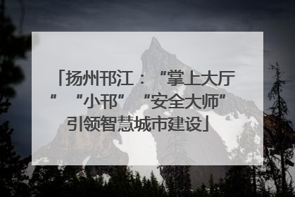 扬州邗江：“掌上大厅”“小邗”“安全大师”引领智慧城市建设