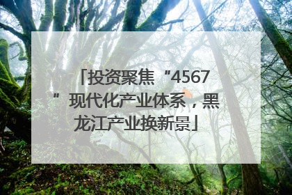 投资聚焦“4567”现代化产业体系，黑龙江产业换新景