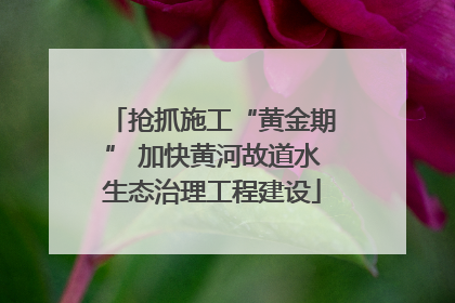 抢抓施工“黄金期” 加快黄河故道水生态治理工程建设