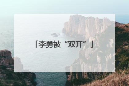 李勇被“双开”