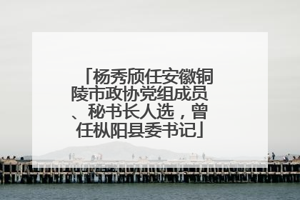 杨秀颀任安徽铜陵市政协党组成员、秘书长人选，曾任枞阳县委书记