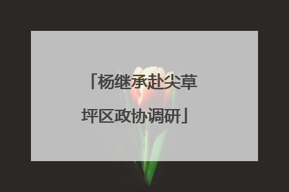 杨继承赴尖草坪区政协调研