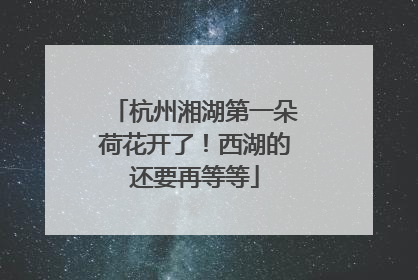杭州湘湖第一朵荷花开了！西湖的还要再等等