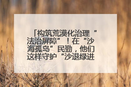 构筑荒漠化治理“法治屏障”！在“沙海孤岛”民勤，他们这样守护“沙退绿进”的生态奇迹