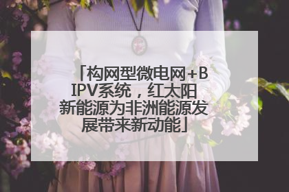 构网型微电网+BIPV系统，红太阳新能源为非洲能源发展带来新动能