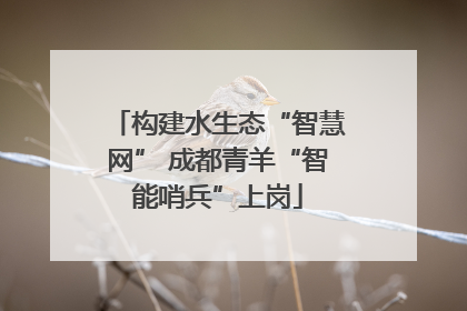 构建水生态“智慧网” 成都青羊“智能哨兵”上岗