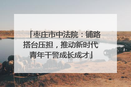 枣庄市中法院：铺路搭台压担，推动新时代青年干警成长成才
