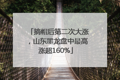 摘帽后第二次大涨，山东墨龙盘中最高涨超160%