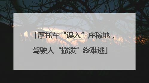 摩托车“误入”庄稼地，驾驶人“撒泼”终难逃