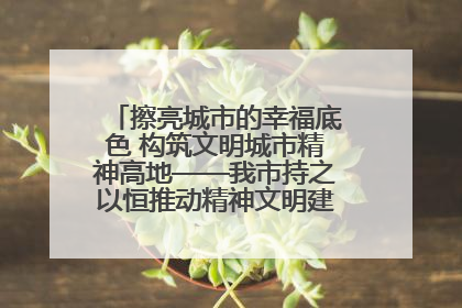 擦亮城市的幸福底色 构筑文明城市精神高地——我市持之以恒推动精神文明建设工作走深走实