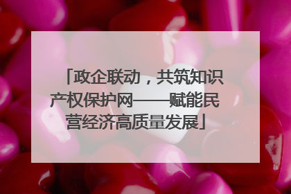 政企联动，共筑知识产权保护网——赋能民营经济高质量发展