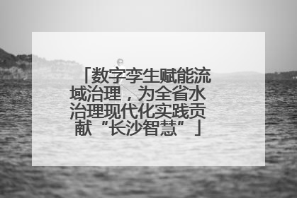 数字孪生赋能流域治理，为全省水治理现代化实践贡献“长沙智慧”