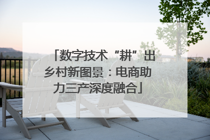 数字技术“耕”出乡村新图景：电商助力三产深度融合