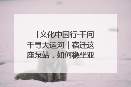 文化中国行·千问千寻大运河｜宿迁这座泵站，如何稳坐亚洲第一宝座？