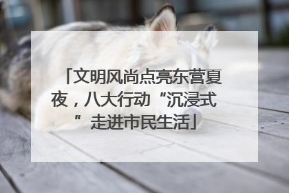 文明风尚点亮东营夏夜，八大行动“沉浸式”走进市民生活