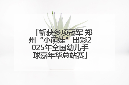 斩获多项冠军 郑州“小萌娃”出彩2025年全国幼儿手球嘉年华总站赛