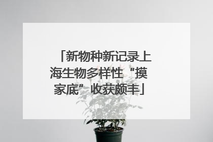 新物种新记录上海生物多样性“摸家底”收获颇丰