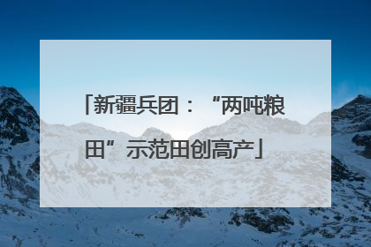新疆兵团：“两吨粮田”示范田创高产
