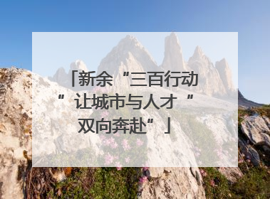 新余“三百行动”让城市与人才“双向奔赴”