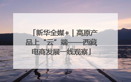 新华全媒+｜高原产品上“云”端——西藏电商发展一线观察