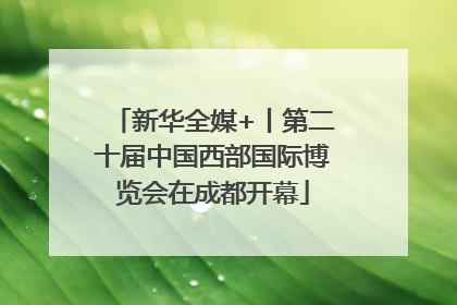 新华全媒+丨第二十届中国西部国际博览会在成都开幕
