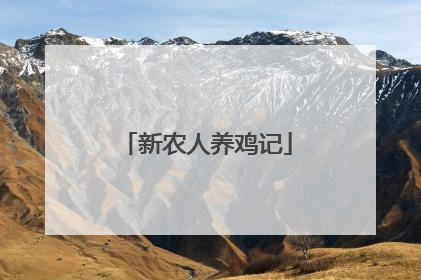 新农人养鸡记