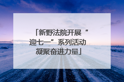 新野法院开展“迎七一”系列活动 凝聚奋进力量