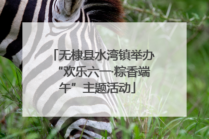 无棣县水湾镇举办“欢乐六一·粽香端午”主题活动