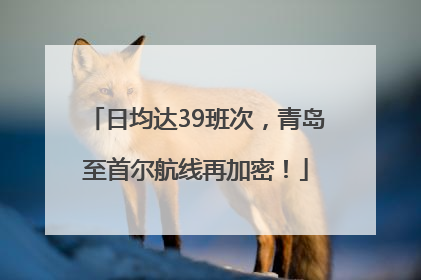 日均达39班次，青岛至首尔航线再加密！