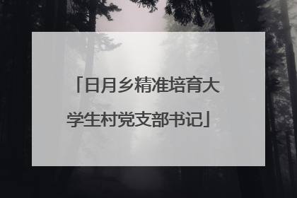 日月乡精准培育大学生村党支部书记