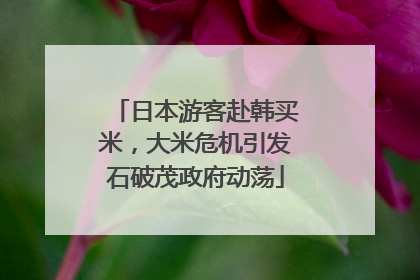 日本游客赴韩买米，大米危机引发石破茂政府动荡