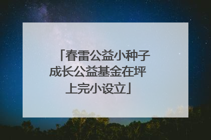 春雷公益小种子成长公益基金在坪上完小设立