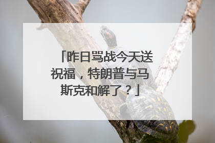 昨日骂战今天送祝福，特朗普与马斯克和解了？
