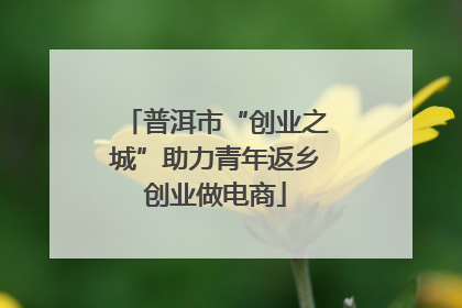 普洱市“创业之城”助力青年返乡创业做电商
