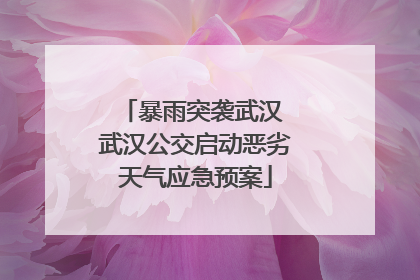 暴雨突袭武汉 武汉公交启动恶劣天气应急预案
