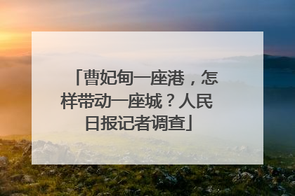 曹妃甸一座港，怎样带动一座城？人民日报记者调查
