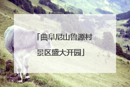 曲阜尼山鲁源村景区盛大开园