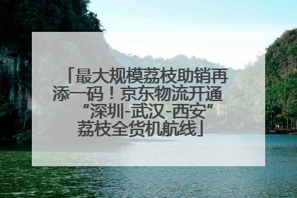 最大规模荔枝助销再添一码！京东物流开通“深圳-武汉-西安” 荔枝全货机航线
