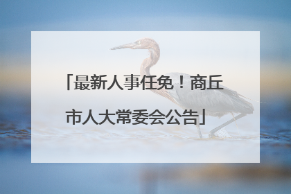 最新人事任免！商丘市人大常委会公告