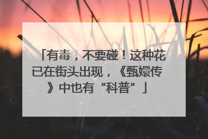 有毒，不要碰！这种花已在街头出现，《甄嬛传》中也有“科普”