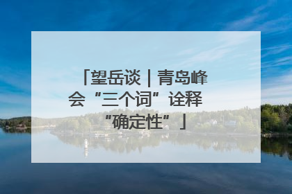 望岳谈｜青岛峰会“三个词”诠释“确定性”