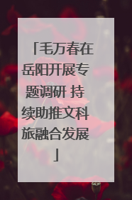 毛万春在岳阳开展专题调研 持续助推文科旅融合发展