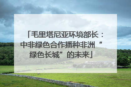 毛里塔尼亚环境部长：中非绿色合作播种非洲“绿色长城”的未来