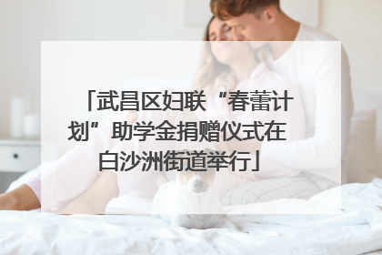 武昌区妇联“春蕾计划”助学金捐赠仪式在白沙洲街道举行